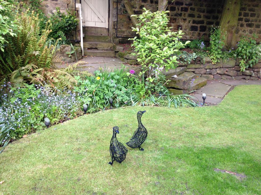 Willow Cottage B&B Yeadon Extérieur photo