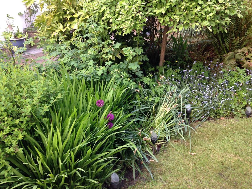 Willow Cottage B&B Yeadon Extérieur photo