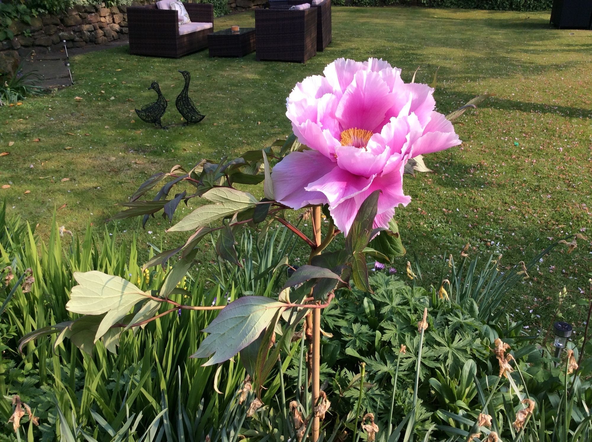 Willow Cottage B&B Yeadon Extérieur photo